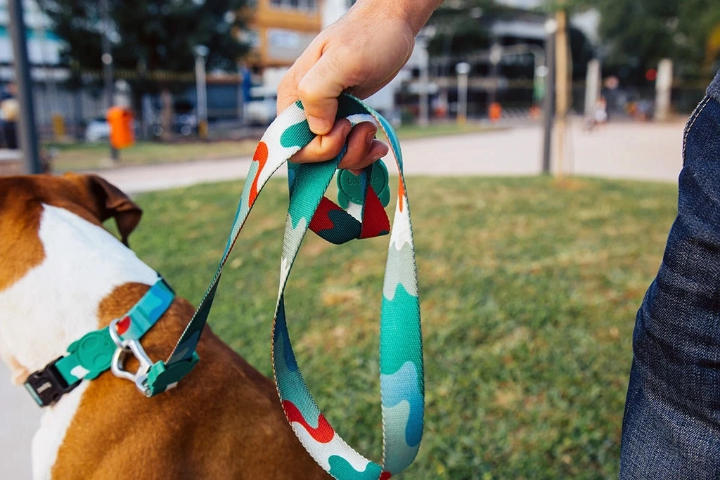 Dog Collar, Dog Leash, Pet Accessories, Nylon Dog Leash, Polyester Dog Rope, Camouflage Dog Leash, Heat Transfer Dog Leash, Promotional Dog Leash
