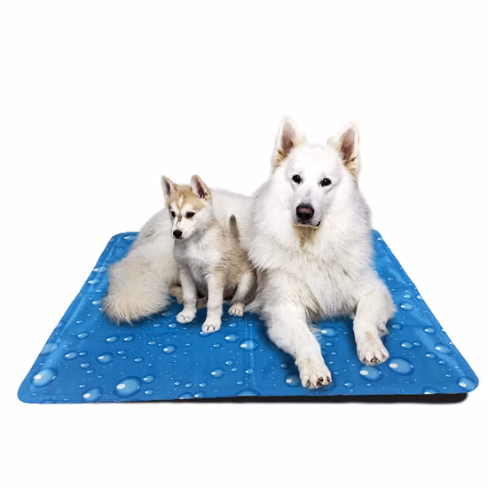 Risco impermeável de 50X65cm