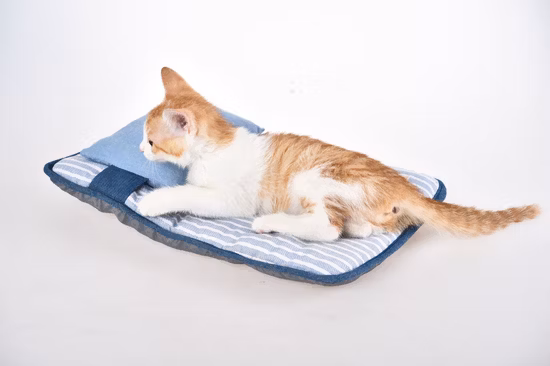 Pet Home Outono/Inverno Espessado Coral Fleece Tapete de Dormir para Animais de Estimação Colchão Retangular para Animais de Estimação